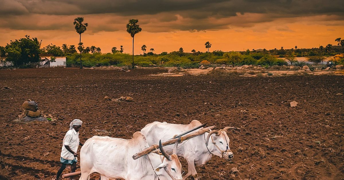 PM Kisan 24th Installment Date: Status Check, e-KYC & Why Not Received